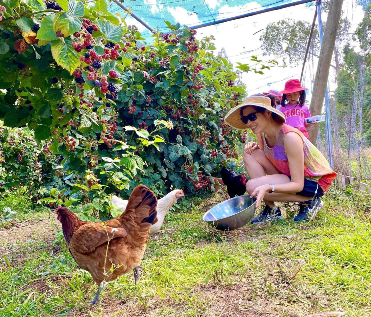 A Berry Good Time: Farm Adventure with the Kids